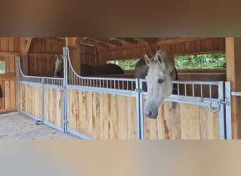 Fabricación de boxes para caballos y accesorios según sus deseos!