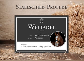 Tu placa de box personalizada para tu caballo: crea la tuya propia o déjala en manos de un profesion