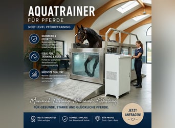 Entrenador de agua premium para caballos, acero inoxidable – Nuevo y sin usar