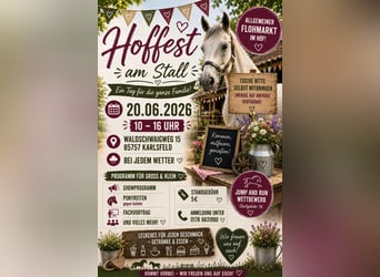Fiesta campestre con mercado de pulgas y competición de salto y carrera