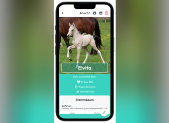 Kostenlose App für Pferdezuchtmanagement