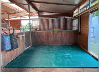 Original EVA Stallmatten, 44 mm !, direkt vom Importeur, bester Preis in D und A*