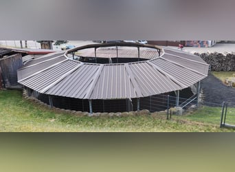 Pferde-Führanlage, für 4 Pferde