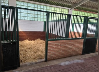 Apartamentos vacacionales en una magnífica zona ecuestre, justo junto al lago privado de la propieda