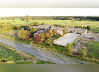 ¡Hotel para caballos en la Veluwe!
