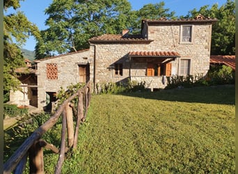 Vacaciones de equitación en Toscana