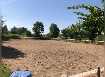 "Pit stop" for horse transportation over long distances" Between Frankfurt and Nuremberg.