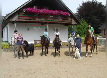 Vacaciones ecuestres