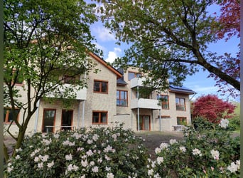 Neue Ferienwohnungen direkt am Wasser mit tollen Reitgelände - auch mit Gastboxen