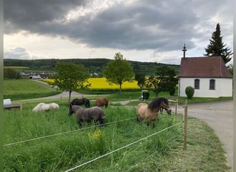 Reiterferien auf der schwäbischen Alb