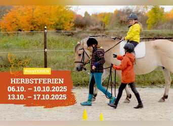 Reiterferien „Herbstzauber“