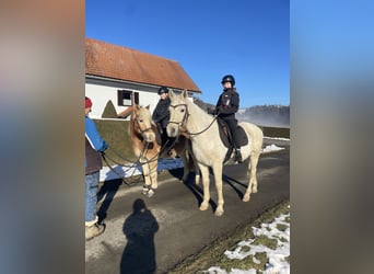 Vacaciones a caballo: mucho más que solo montar