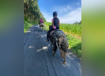 Vacaciones a caballo: mucho más que solo montar