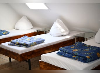 Vacaciones ecuestres en el hermoso valle del Eder: el paraíso ecuestre Talhof
