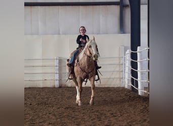 Appaloosa, Caballo castrado, 9 años, 150 cm, Palomino