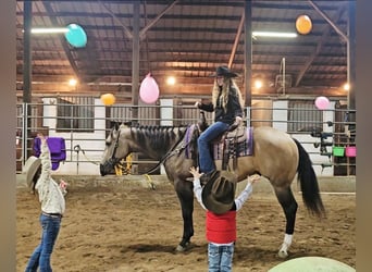 Appaloosa, Gelding, 5 years, 15,3 hh, Buckskin