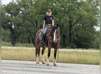 Arbeitspferd, Stute, 4 Jahre, 152 cm, Rotbrauner