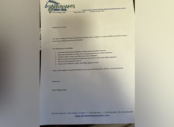 Arbeitspferd, Wallach, 15 Jahre, 168 cm, Tobiano-alle-Farben