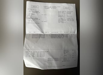 Arbeitspferd, Wallach, 7 Jahre, 163 cm, Rappe