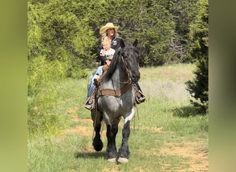 Arbeitspferd Mix, Wallach, 7 Jahre, 173 cm, Roan-Blue