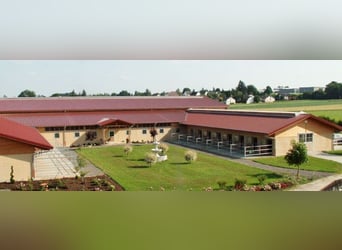 Paddockbox auf großer Reitanlage mit top Trainingsbedingungen