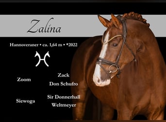 Zalina