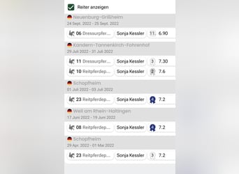 Baden Wuerttemberg, Gelding, 8 years, 17.2 hh, Bay-Dark