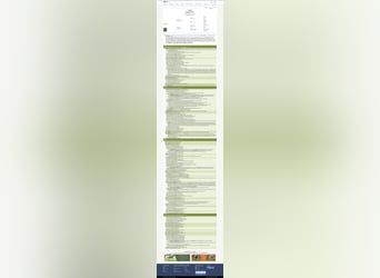 Belga, Giumenta, 16 Anni, 168 cm, Sauro