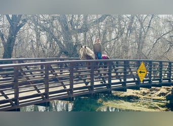 Belgian Draft, Mare, 5 years, 18.2 hh, Sorrel