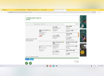 Belgisch Sportpaard, Merrie, 7 Jaar, 166 cm, Donkere-vos