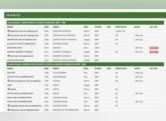 Belgisch Warmbloed, Merrie, 12 Jaar, Roodbruin