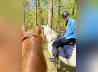 Betrouwbare en zelfverzekerde ruiter zoekt verzorgpony/paard