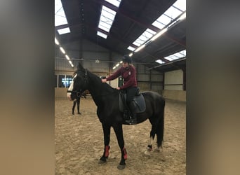 Bijrijder/verzorgster aangeboden