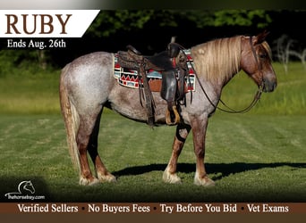 Haflinger, Stute, 8 Jahre, 150 cm, Roan-Red, in Somerset, KY
