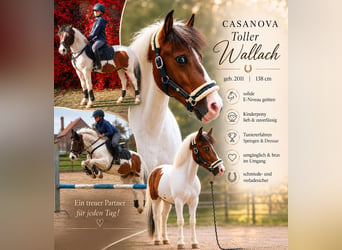 Casanova 509