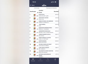 KWPN, Wałach, 9 lat, 174 cm, Gniada, in Cascais