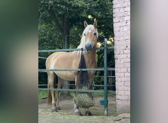 Merrie 17 Jaar