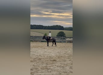 Gesucht wird eine RB für unsere 11 jährige Tochter 