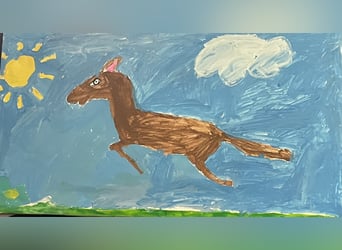 Caballo alemán, Yegua, 8 años, 168 cm, Negro