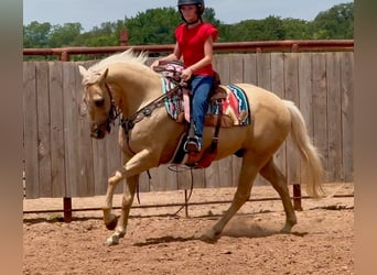 Caballo cuarto de milla, Caballo castrado, 10 años, Palomino