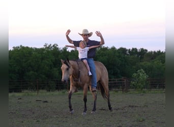 Caballo cuarto de milla, Caballo castrado, 4 años, 150 cm, Buckskin/Bayo