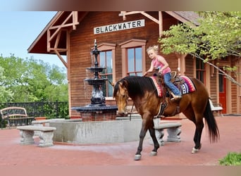 Caballo cuarto de milla, Caballo castrado, 4 años, 150 cm, Buckskin/Bayo