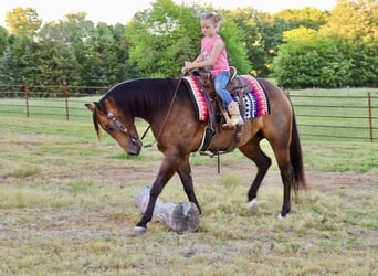 Caballo cuarto de milla, Caballo castrado, 4 años, 150 cm, Buckskin/Bayo