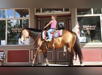 Caballo cuarto de milla, Caballo castrado, 4 años, 150 cm, Buckskin/Bayo