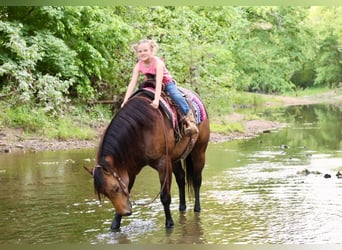 Caballo cuarto de milla, Caballo castrado, 4 años, 150 cm, Buckskin/Bayo
