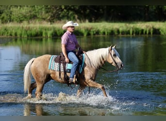 Caballo cuarto de milla, Caballo castrado, 4 años, 152 cm, Palomino