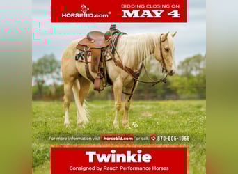 Caballo cuarto de milla, Caballo castrado, 6 años, 142 cm, Palomino