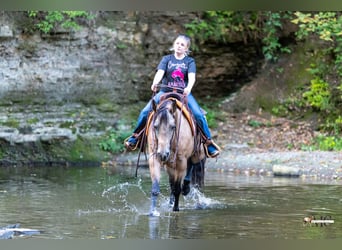 Caballo cuarto de milla, Caballo castrado, 8 años, Buckskin/Bayo