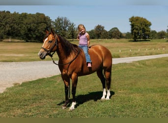 Caballo cuarto de milla, Yegua, 14 años, 147 cm, Buckskin/Bayo