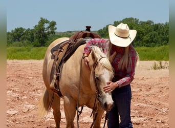 Caballo cuarto de milla, Yegua, 4 años, 155 cm, Palomino